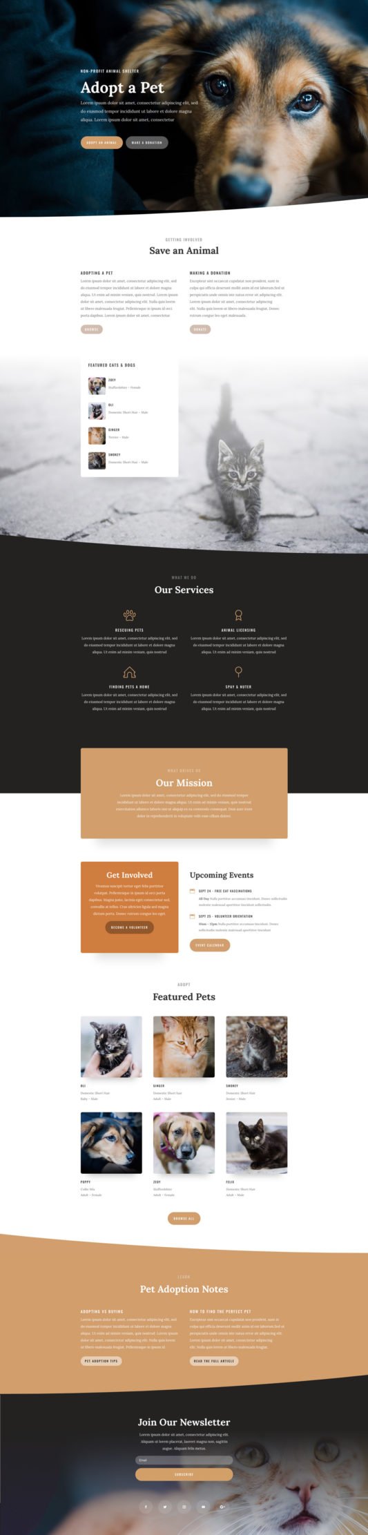 animal-shelter-landing-page-533x2223